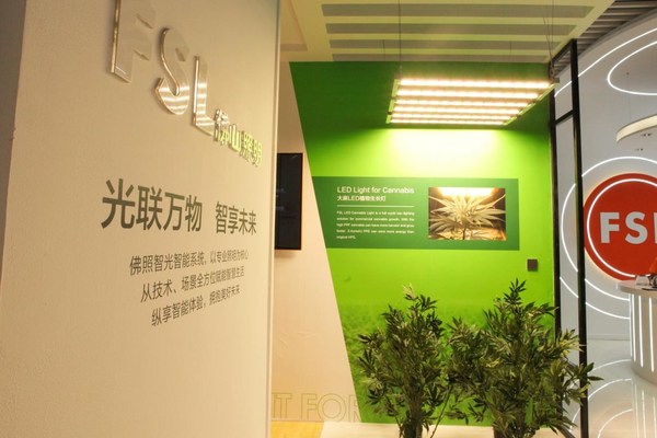image4.jpg
