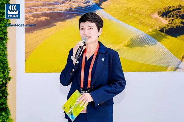 81.jpg